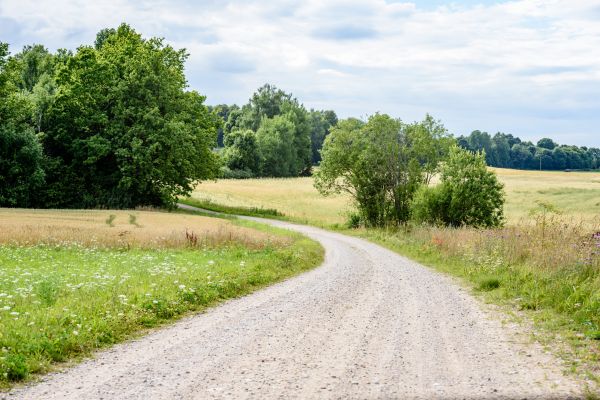Cost of Stone Driveway Repair in Jersey City