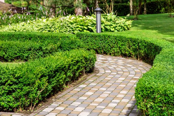 Cost of Paved Landscaping in Jersey City